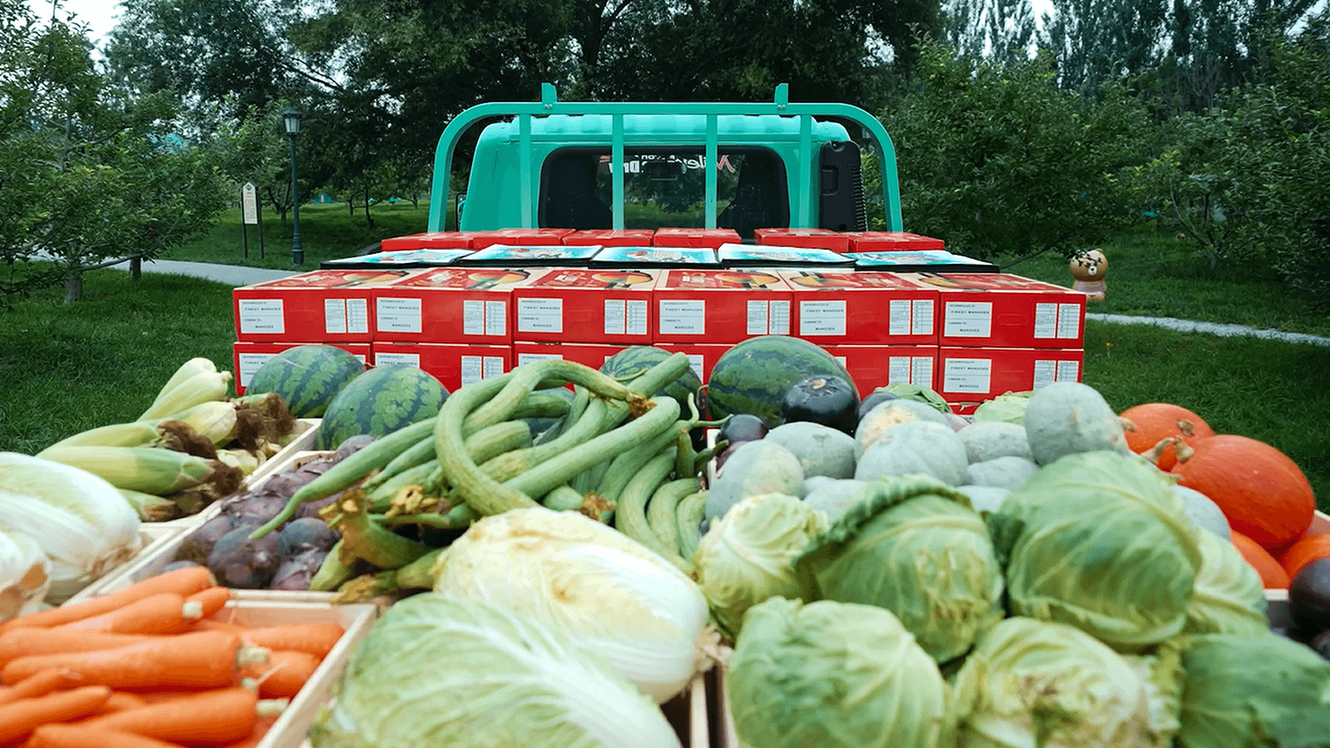 Miler_Full_ROBUSTEZ_desktop